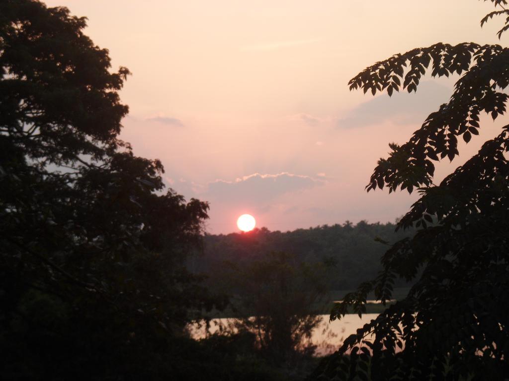 Blue Lake Ridge Maha Oya Zewnętrze zdjęcie
