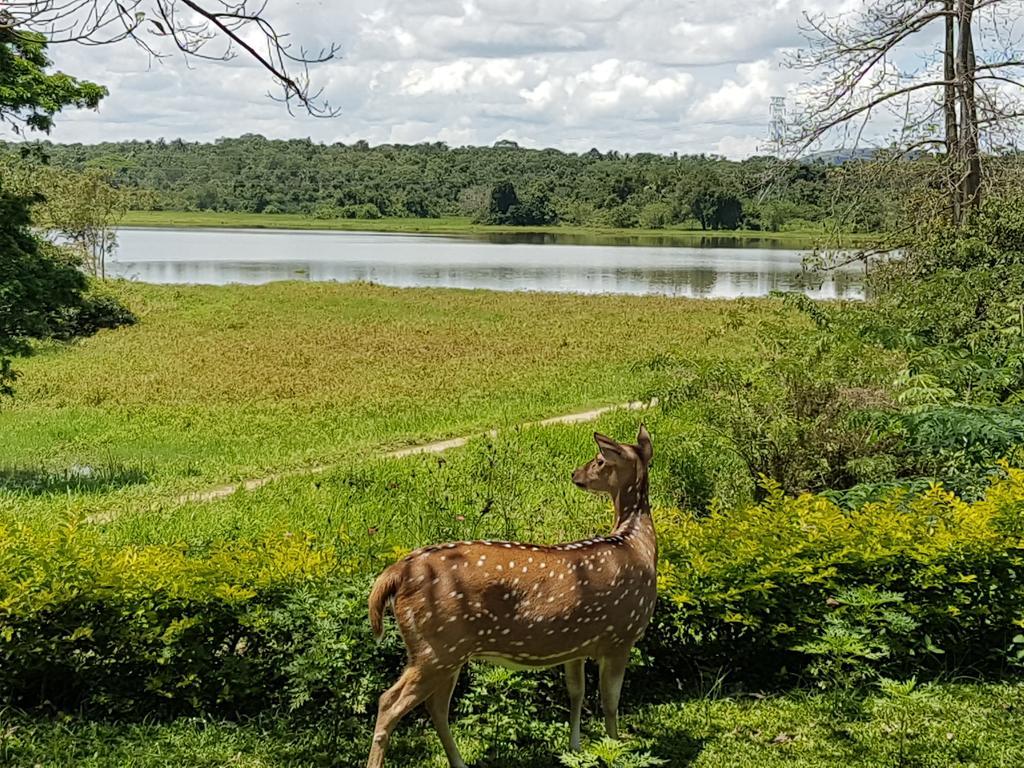 Blue Lake Ridge Maha Oya Zewnętrze zdjęcie