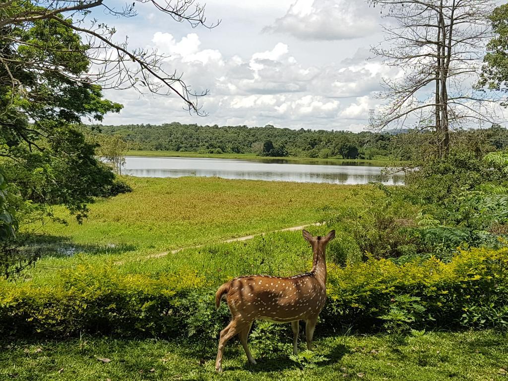 Blue Lake Ridge Maha Oya Zewnętrze zdjęcie